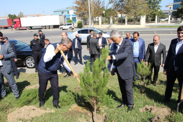 Səbail rayonunda 27 sentyabr - Anım Günü ilə əlaqədar ağacəkmə aksiyası keçirilib