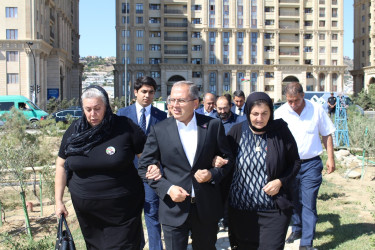 Səbaildə 27 sentyabr - Anım Gününə həsr olunmuş ağacəkmə aksiyası keçirilmişdir