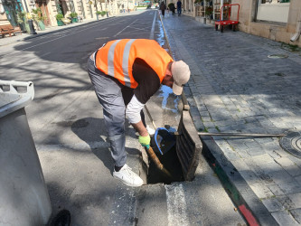 Səbail rayon ərazisində növbəti iməcilik işləri həyata keçirilmişdir