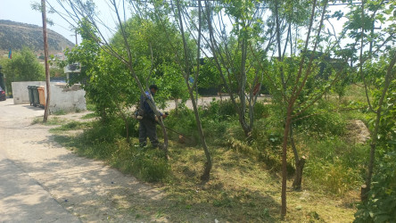 Səbail rayonunda növbəti iməclik keçirilib