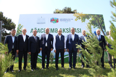 Səbail rayonunda “Şəhərsalma və Memarlıq İli” çərçivəsində ağacəkmə aksiyası keçirilmişdir