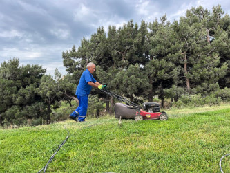 Səbail rayon ərazisində növbəti iməcilik işləri həyata keçirilmişdir