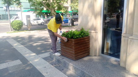 Səbail rayonunda növbəti iməclik keçirilib