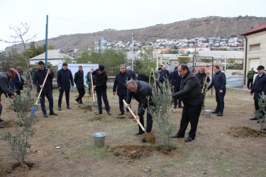 Səbail rayonunda "Yaşıl dünya naminə həmrəylik ili" çərçivəsində növbəti ağacəkmə aksiyası