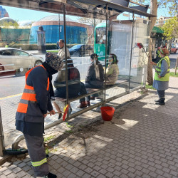 Səbail rayon ərazisində növbəti iməcilik işləri həyata keçirilmişdir