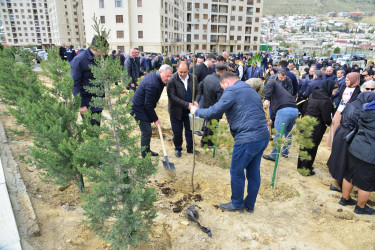 Səbail rayonunda "Yaşıl dünya naminə həmrəylik ili" çərçivəsində növbəti ağacəkmə aksiyası