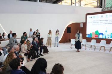 WUF13 — Ümumdünya Şəhərsalma Forumu çərçivəsində Bibiheybət qəsəbəsində 2019–2024-cü illərdə həyata keçirilmiş urban transformasiya və yaşayış mühitinin yenilənməsi layihələrinə həsr olunmuş tədbir