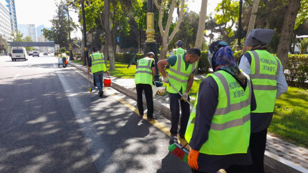 Səbail rayonunda növbəti iməcilik keçirildi