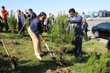 Səbail rayonunda 27 sentyabr - Anım Günü ilə əlaqədar ağacəkmə aksiyası keçirilib