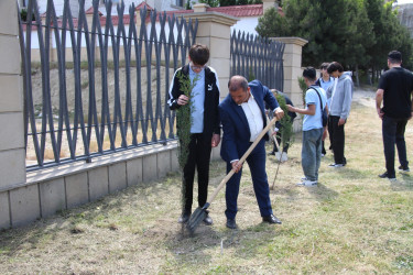 Səbaildə “Şəhərsalma və Memarlıq İli” çərçivəsində “Bir Uşaq bərabərdir Bir Ağac” layihəsi üzrə ağacəkmə aksiyası keçirilmişdir