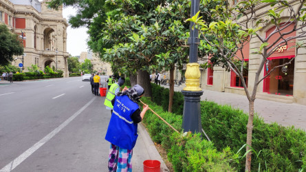 Səbail rayon ərazisində növbəti iməcilik işləri həyata keçirilmişdir