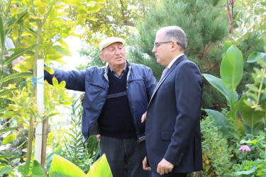 Səbail rayonunda növbəti yaşıl məhəllə sakinlərin istifadəsinə verildi