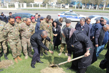 Səbail rayonunda “Heydər Əliyev ili” çərçivəsində ağacəkmə aksiyası keçirilib