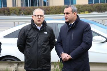 Səbail rayonunda Xocalı soyqırımı qurbanlarının xatirəsinə həsr olunmuş ağacəkmə aksiyası keçirilib