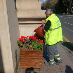 Səbail rayon ərazisində növbəti iməcilik işləri həyata keçirilmişdir