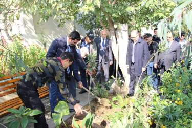 Səbail rayonunda növbəti yaşıl məhəllə sakinlərin istifadəsinə verildi