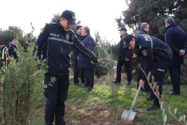 Səbail rayonunda "Konstitusiya və Suverenlik ili" çərçivəsində ağacəkmə aksiyası keçirilib