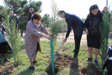 "Yaşıl dünya naminə həmrəylik ili" çərçivəsində Səbaildə növbəti ağacəkmə aksiyası