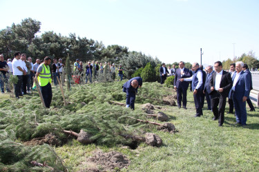 Səbail rayonunda 27 sentyabr - Anım Günü ilə əlaqədar ağacəkmə aksiyası keçirilib