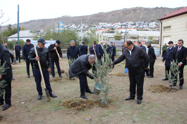 Səbail rayonunda "Yaşıl dünya naminə həmrəylik ili" çərçivəsində növbəti ağacəkmə aksiyası