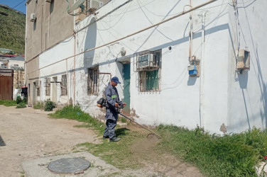 Səbail rayon ərazisində növbəti iməcilik işləri həyata keçirilmişdir