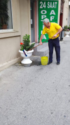 Səbail rayon ərazisində növbəti iməcilik işləri həyata keçirilmişdir