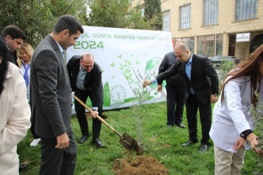 Səbail rayonunda "Yaşıl dünya naminə həmrəylik ili" çərçivəsində ağacəkmə aksiyası keçirilib