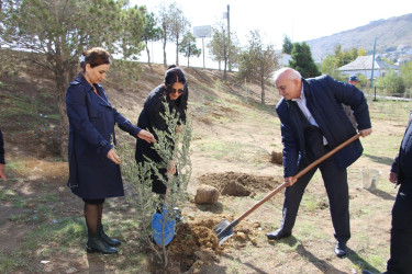 Səbail rayonunda "Yaşıl dünya naminə həmrəylik ili" çərçivəsində ağacəkmə aksiyası davam edir