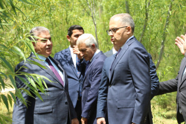 Rayon İcra Hakimiyyətinin başçısı 20-ci sahə yaşayış massivində sakinlərin müraciətlərini dinləmiş və əraziyə baxış keçirmişdir