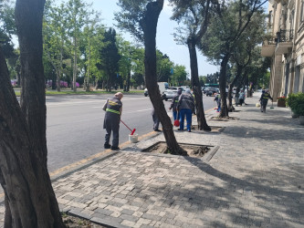 Səbail rayonunda növbəti iməclik keçirilib