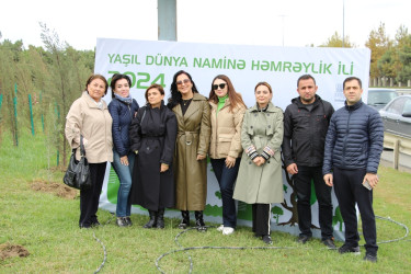 Səbaildə "Yaşıl dünya naminə həmrəylik ili" çərçivəsində növbəti ağacəkmə aksiyası