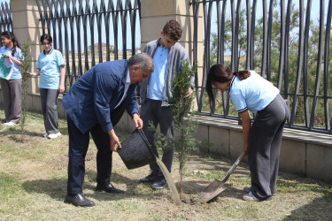 Səbaildə “Şəhərsalma və Memarlıq İli” çərçivəsində “Bir Uşaq bərabərdir Bir Ağac” layihəsi üzrə ağacəkmə aksiyası keçirilmişdir