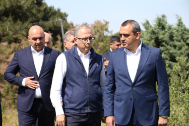 Səbail rayonunda “Şəhərsalma və Memarlıq İli” çərçivəsində ağacəkmə aksiyası keçirilmişdir