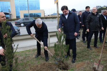 Səbail rayonunda Xocalı soyqırımı qurbanlarının xatirəsinə həsr olunmuş ağacəkmə aksiyası keçirilib