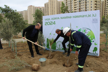 Səbail rayonunda "Yaşıl dünya naminə həmrəylik ili" çərçivəsində növbəti ağacəkmə aksiyası keçirilib