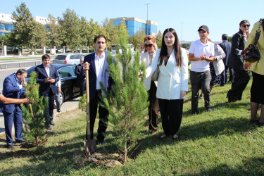 Səbail rayonunda 27 sentyabr - Anım Günü ilə əlaqədar ağacəkmə aksiyası keçirilib