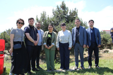 Səbail rayonunda "Konstitusiya və Suverenlik ili" çərçivəsində ağacəkmə aksiyası keçirilib