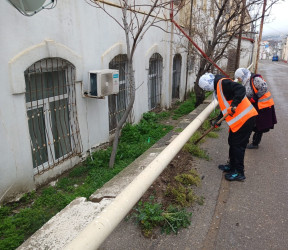 Səbaildə növbəti ümumrayon iməciliyi keçirilmişdir