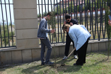 Səbaildə “Şəhərsalma və Memarlıq İli” çərçivəsində “Bir Uşaq bərabərdir Bir Ağac” layihəsi üzrə ağacəkmə aksiyası keçirilmişdir