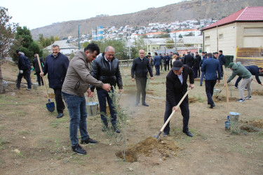 Səbail rayonunda "Yaşıl dünya naminə həmrəylik ili" çərçivəsində növbəti ağacəkmə aksiyası