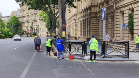 Səbail rayon ərazisində növbəti iməcilik işləri həyata keçirilmişdir