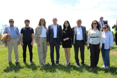 Səbail rayonunda "Konstitusiya və Suverenlik ili" çərçivəsində ağacəkmə aksiyası keçirilib