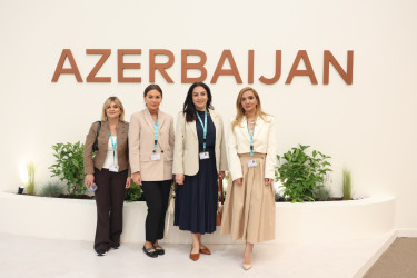 WUF13 — Ümumdünya Şəhərsalma Forumu çərçivəsində Bibiheybət qəsəbəsində 2019–2024-cü illərdə həyata keçirilmiş urban transformasiya və yaşayış mühitinin yenilənməsi layihələrinə həsr olunmuş tədbir
