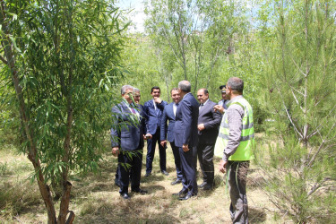 Rayon İcra Hakimiyyətinin başçısı 20-ci sahə yaşayış massivində sakinlərin müraciətlərini dinləmiş və əraziyə baxış keçirmişdir