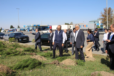 Səbail rayonunda 27 sentyabr - Anım Günü ilə əlaqədar ağacəkmə aksiyası keçirilib