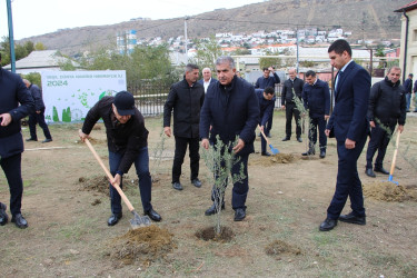 Səbail rayonunda "Yaşıl dünya naminə həmrəylik ili" çərçivəsində növbəti ağacəkmə aksiyası