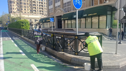 Səbail rayon ərazisində növbəti iməcilik işləri həyata keçirilmişdir