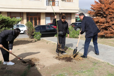 Səbail rayonunda "Yaşıl dünya naminə həmrəylik ili" çərçivəsində növbəti ağacəkmə aksiyası