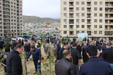 Səbail rayonunda "Yaşıl dünya naminə həmrəylik ili" çərçivəsində növbəti ağacəkmə aksiyası