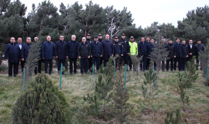 Səbail rayonunda Xocalı soyqırımı qurbanlarının xatirəsinə həsr olunmuş ağacəkmə aksiyası keçirilib